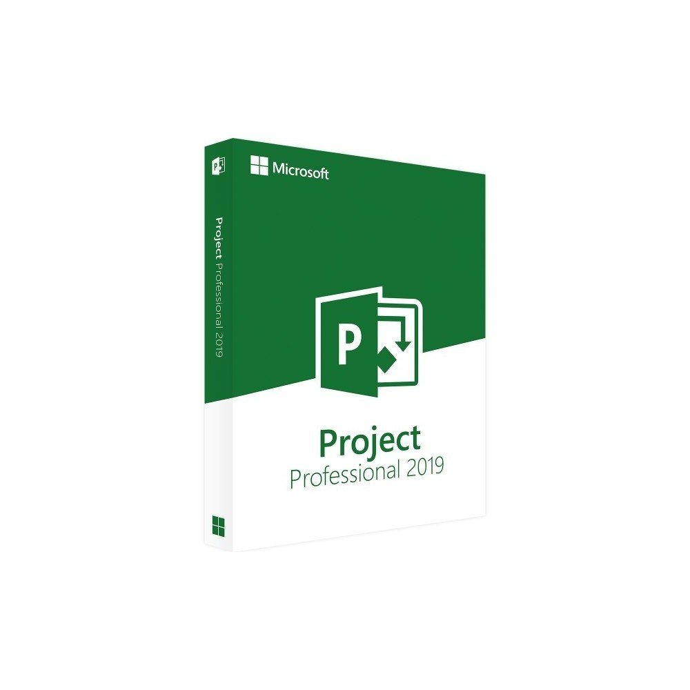 Microsoft Project Professional 2019